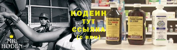 крисы Лабытнанги