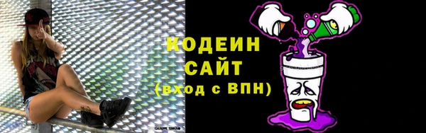 крисы Лабытнанги