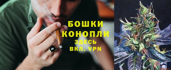 крисы Лабытнанги