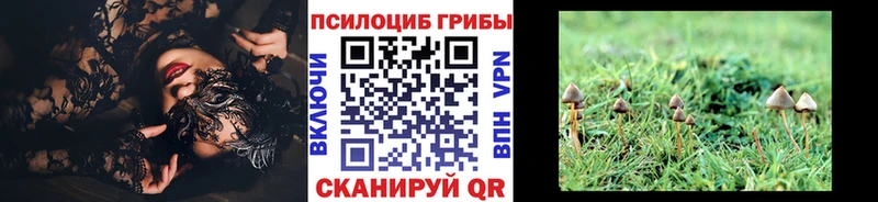 Псилоцибиновые грибы мицелий  наркота  Тольятти 